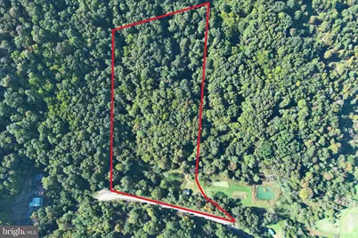 Lots 5 & 6 Proctor Road, Purgitsville, WV 26852 - Photo 3