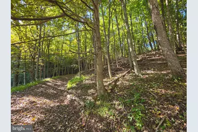 Lots 5 & 6 Proctor Road, Purgitsville, WV 26852 - Photo 29