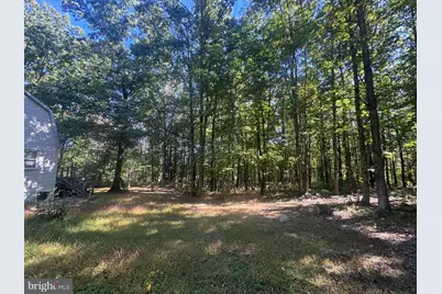 48 Big Rock Drive, Delray, WV 26714 - Photo 5