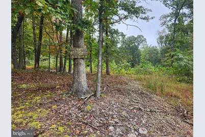 Lot 17 Quaker Lake Trail, Capon Bridge, WV 26711 - Photo 1