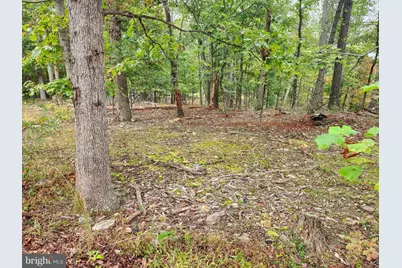 Lot 17 Quaker Lake Trail, Capon Bridge, WV 26711 - Photo 9