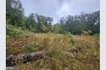 Lot 17 Quaker Lake Trail, Capon Bridge, WV 26711 - Photo 25