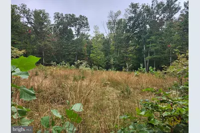 Lot 17 Quaker Lake Trail, Capon Bridge, WV 26711 - Photo 19