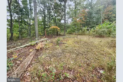 Lot 17 Quaker Lake Trail, Capon Bridge, WV 26711 - Photo 29
