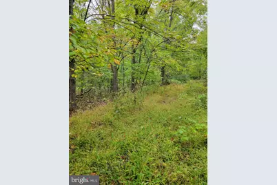 Hawks Way, Delray, WV 26714 - Photo 3