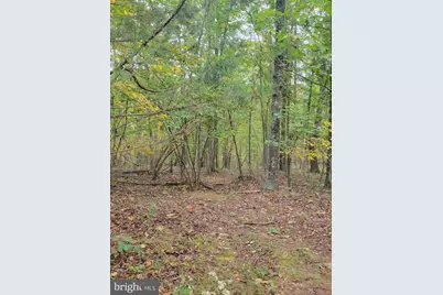 Bear Road, Delray, WV 26714 - Photo 7