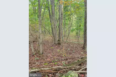Bear Road, Delray, WV 26714 - Photo 3