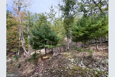 24 Long Acre Estates, Romney, WV 26757 - Photo 19