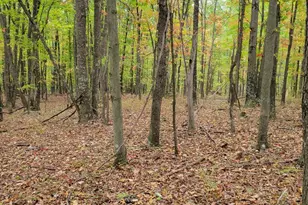 Firecracker Ln, Delray, WV 26714 - Photo 1