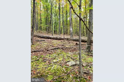 Firecracker Lane, Delray, WV 26714 - Photo 5