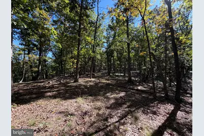 270 Rachaels Lane, Delray, WV 26714 - Photo 15