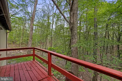 153 Bear Track Road, Augusta, WV 26704 - Photo 29