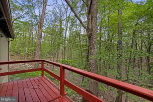 153 Bear Track Rd, Augusta, WV 26704 - Photo 29