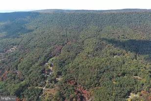 550 N River Highlands Rd, Delray, WV 26714 - Photo 97