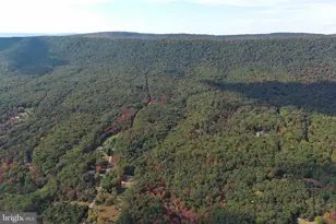 550 N River Highlands Rd, Delray, WV 26714 - Photo 95