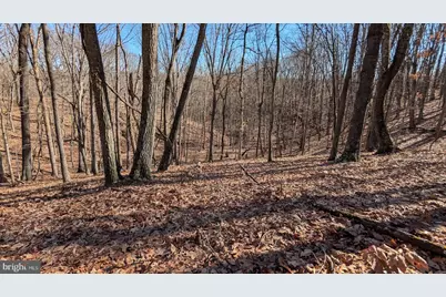 550 North River Highlands Road, Delray, WV 26714 - Photo 61