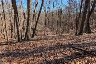 550 N River Highlands Rd, Delray, WV 26714 - Photo 61