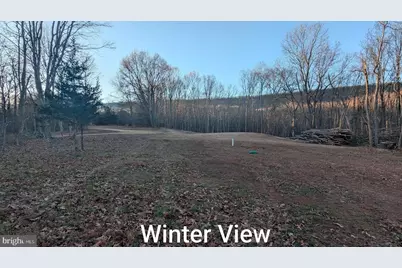 550 North River Highlands Road, Delray, WV 26714 - Photo 59