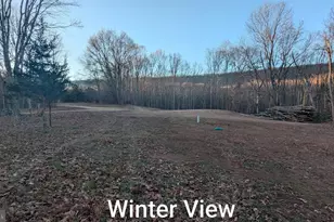 550 N River Highlands Rd, Delray, WV 26714 - Photo 59