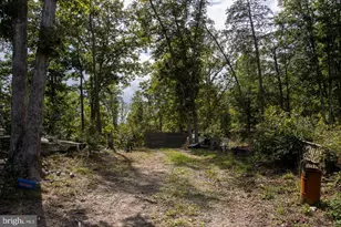 465 Short Mountain Heights Blvd, Delray, WV 26714 - Photo 51