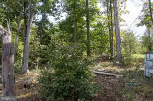 465 Short Mountain Heights Blvd, Delray, WV 26714 - Photo 39