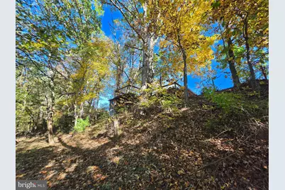 262 Shillingburg Lane, Springfield, WV 26763 - Photo 33