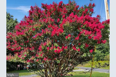 3607 Chestnut Hill Road, Harpers Ferry, WV 25425 - Photo 11