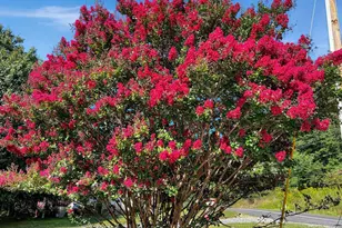 3607 Chestnut Hill Rd, Harpers Ferry, WV 25425 - Photo 11