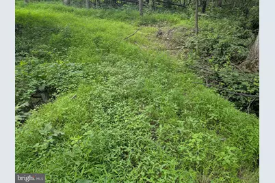 6.1 and 1.57 Acres Chestnut Hill Road, Harpers Ferry, WV 25425 - Photo 5