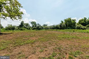 2195 Engle Molers Rd, Harpers Ferry, WV 25425 - Photo 67