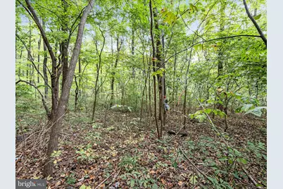Lots 76 & 77 Pink Bud Trl, Harpers Ferry, WV 25425 - Photo 3