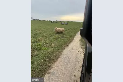 1196 Van Clevesville Road, Kearneysville, WV 25430 - Photo 11