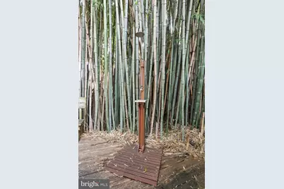 207 W High Street, Shepherdstown, WV 25443 - Photo 7