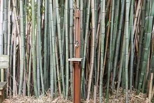 207 W High St, Shepherdstown, WV 25443 - Photo 7