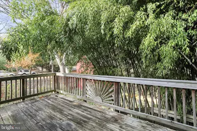 207 W High Street, Shepherdstown, WV 25443 - Photo 39