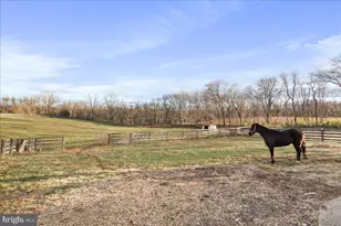 414 Mcmurran Farm Ln, Shepherdstown, WV 25443 - Photo 57