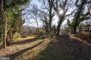 76 Zorger St, Harpers Ferry, WV 25425 - Photo 41