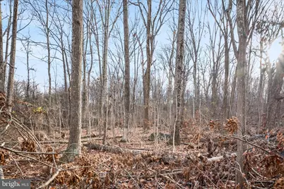 Lots 115, 116, 210 Red Maple Lane, Harpers Ferry, WV 25425 - Photo 7