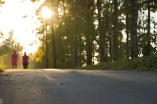 344 Anthem St, Ranson, WV 25438 - Photo 43