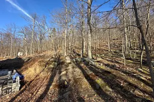 71 Ray Ridge Ln, Harpers Ferry, WV 25425 - Photo 5