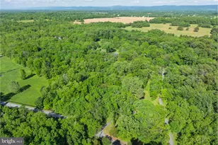 2436 Warm Springs Rd, Shenandoah Junction, WV 25442 - Photo 113