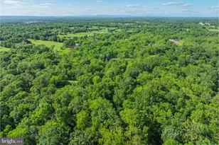 2436 Warm Springs Rd, Shenandoah Junction, WV 25442 - Photo 119