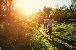 209 Taft Ave, Ranson, WV 25438 - Photo 41