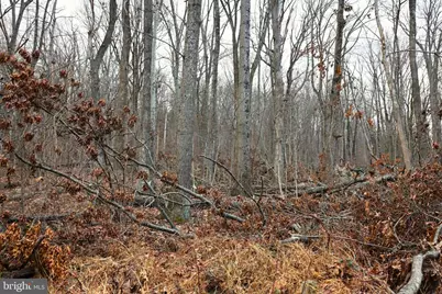 Sec B #211,212 Woodpecker Lane, Harpers Ferry, WV 25425 - Photo 13