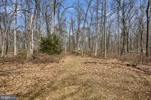 845 Whitmer Rd, Shenandoah Junction, WV 25442 - Photo 49