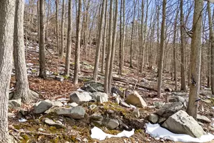 1194 Valley View Rd, Harpers Ferry, WV 25425 - Photo 43