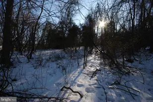 Lot 141A & 154A Wild Dogwood Ln, Harpers Ferry, WV 25425 - Photo 1