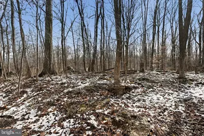 Lots 123 & 124 Tulip Tree Way, Harpers Ferry, WV 25425 - Photo 3