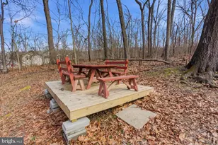 430 Burkett Rd, Harpers Ferry, WV 25425 - Photo 45