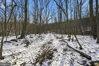 19200 Charles Town Road, Harpers Ferry, WV 25425 - Photo 9